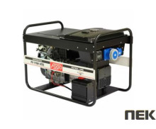 Бензиновый генератор Fogo FV 17001 RTE